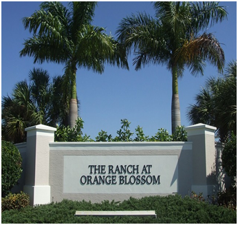 Orange Blossom Ranch
